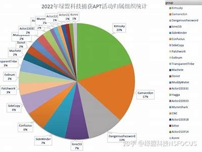 《天龙私服遭遇网络攻击事件调查与应对措施》